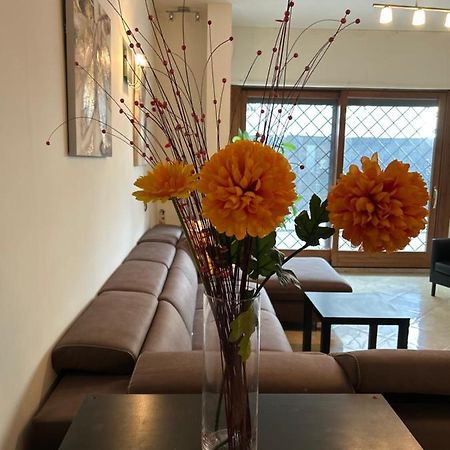Carpegna Luxury Apt With Terrace 罗马 外观 照片